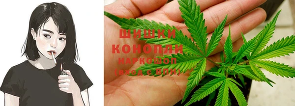 спайс Бородино