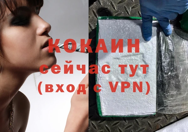 тгк Богородицк