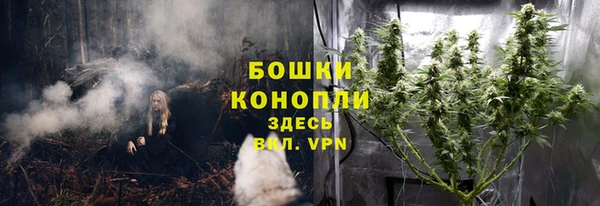 гидропоника Бугульма